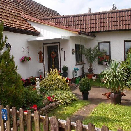 Ferienwohnung Lotti Wittenberg Екстериор снимка