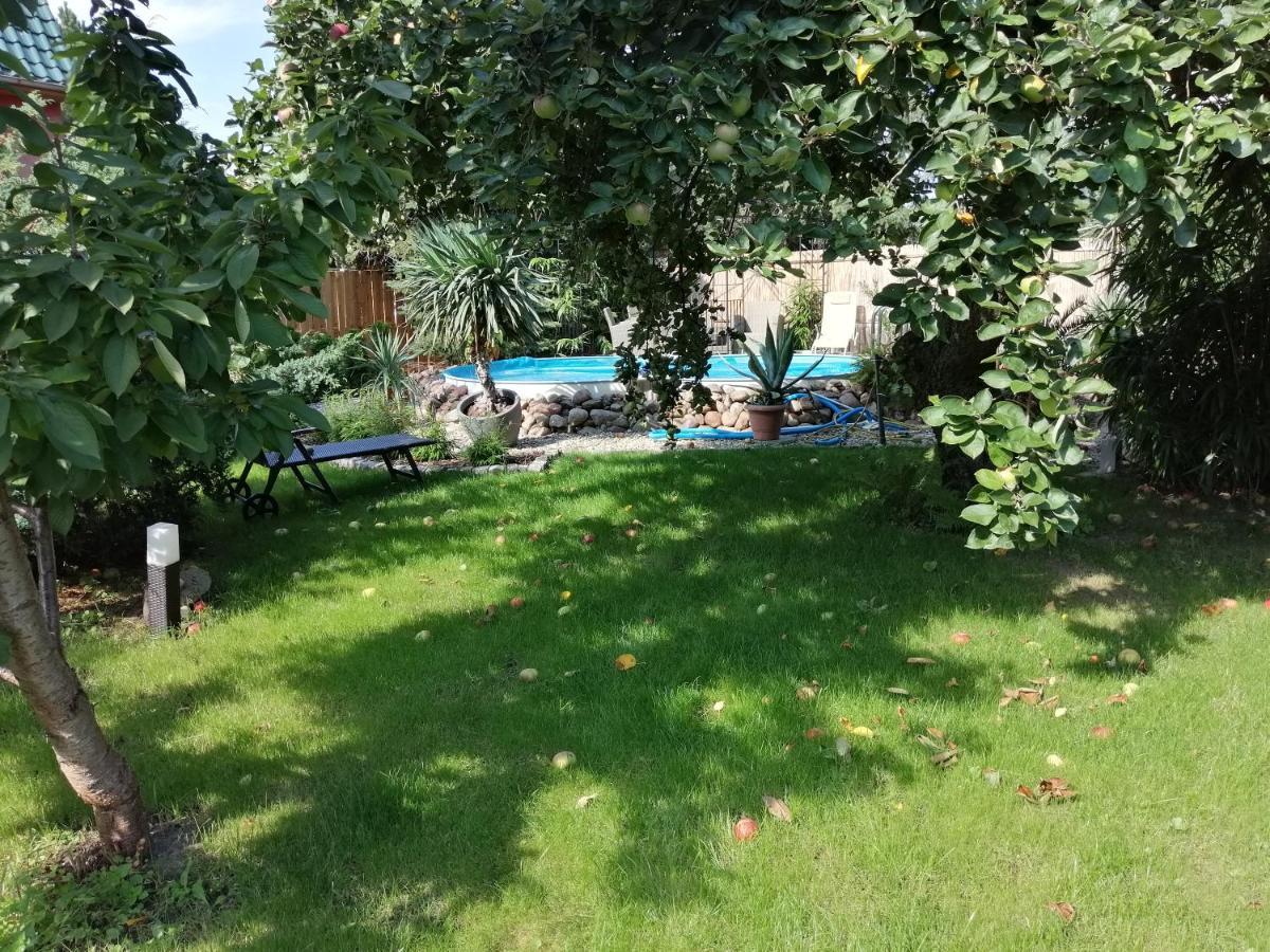 Ferienwohnung Lotti Wittenberg Екстериор снимка